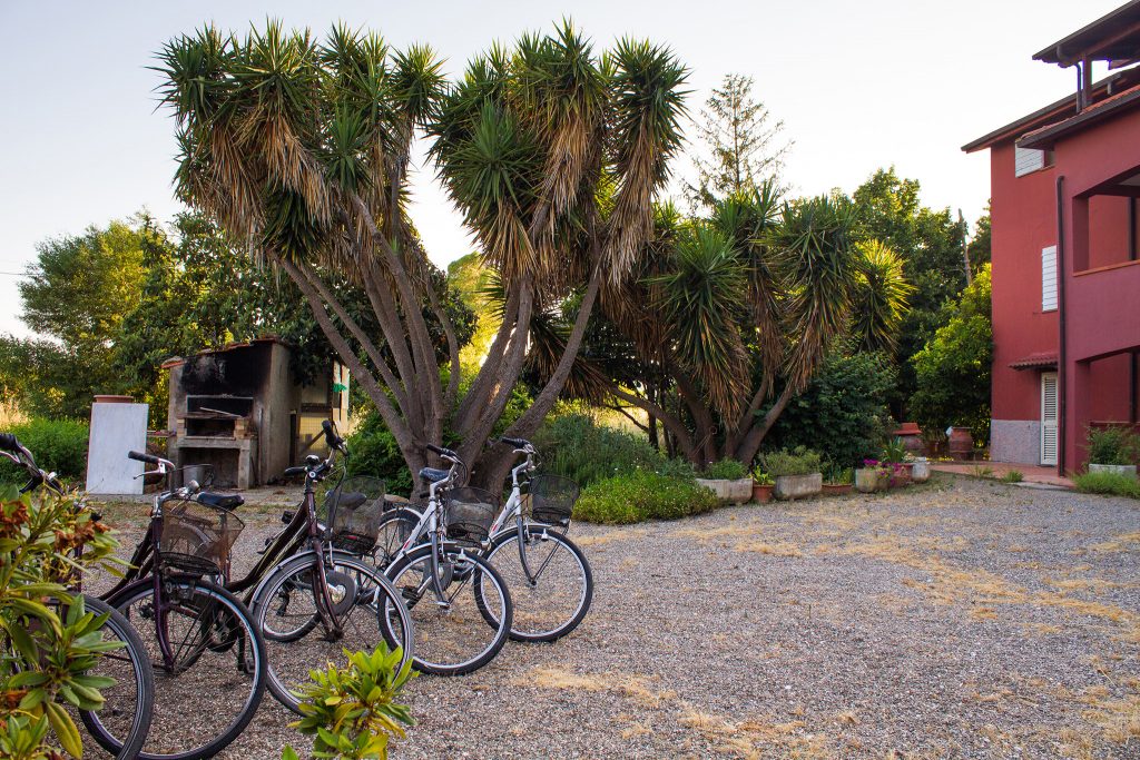 Agriturismo Le Vigne Castiglione della Pescaia Esterni