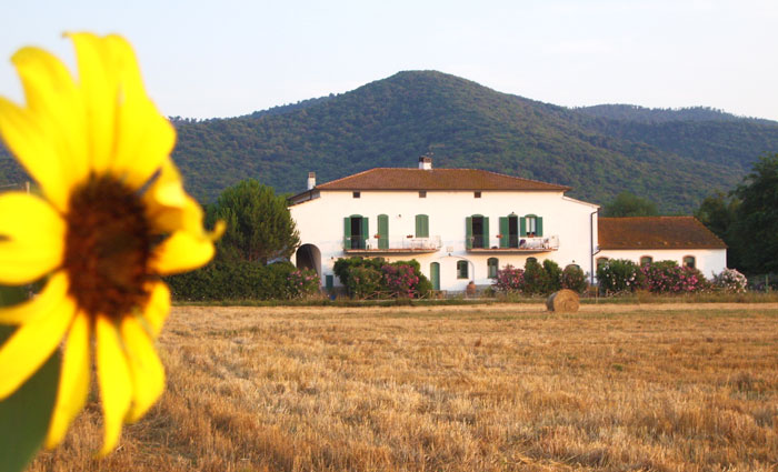 Agriturismo vicino Castiglione della pescaia