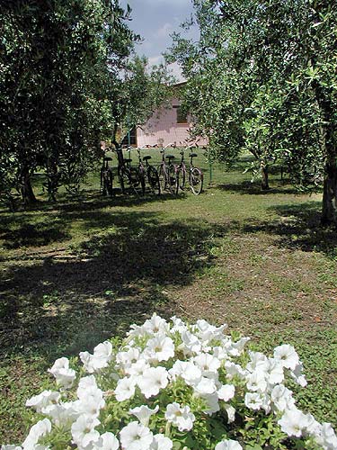 Agriturismo Ruggeri Castiglione della Pescaia