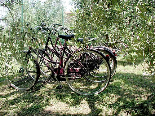 Agriturismo Ruggeri biciclette