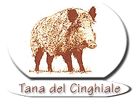 Hotel La Tana del Cinghiale Castiglione della Pescaia