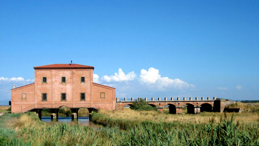 Diaccia Botrona - castiglione della pescaia