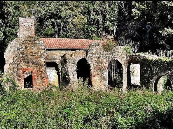 Itinerario Maremma Trekking: Eremo Malavalle – Poggio Quercetona – Poggio Petriccio