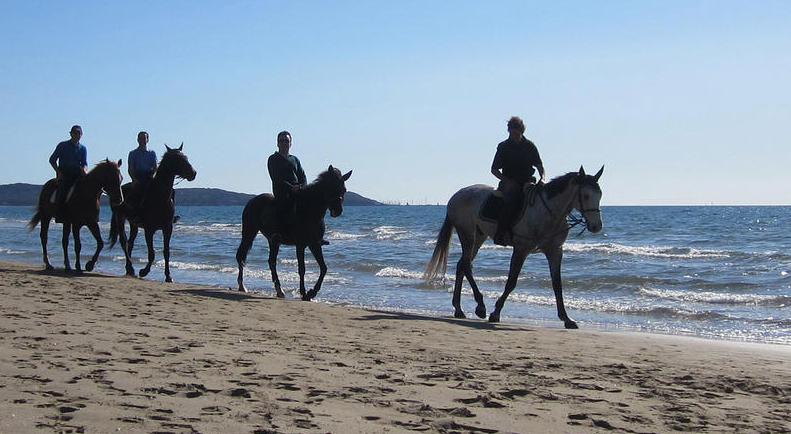 escursioni a cavallo in maremma toscana - castiglione della pescaia