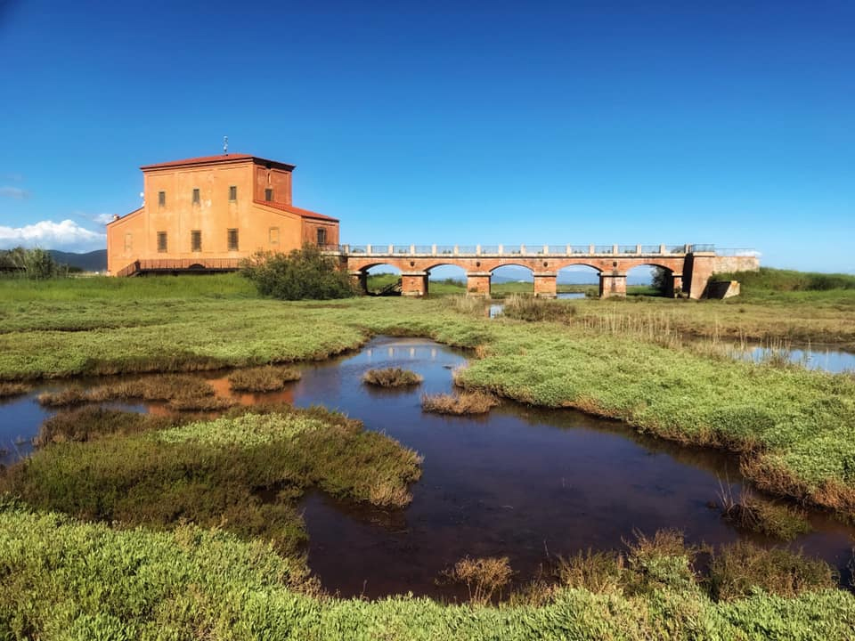 riserva della diaccia botrona a castiglione della pescaia